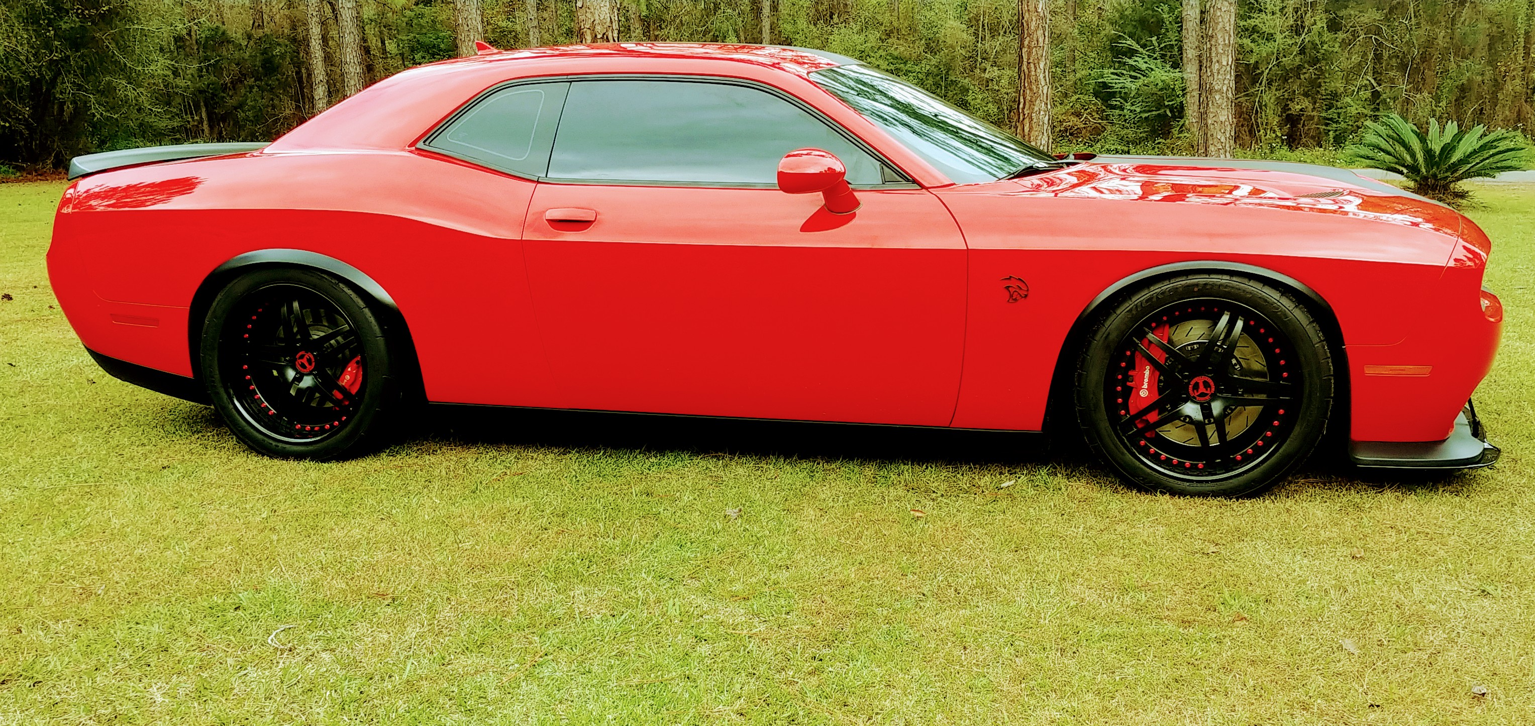 1104181301_HDR~2.jpg