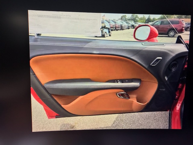 Hellcat door panel.jpg