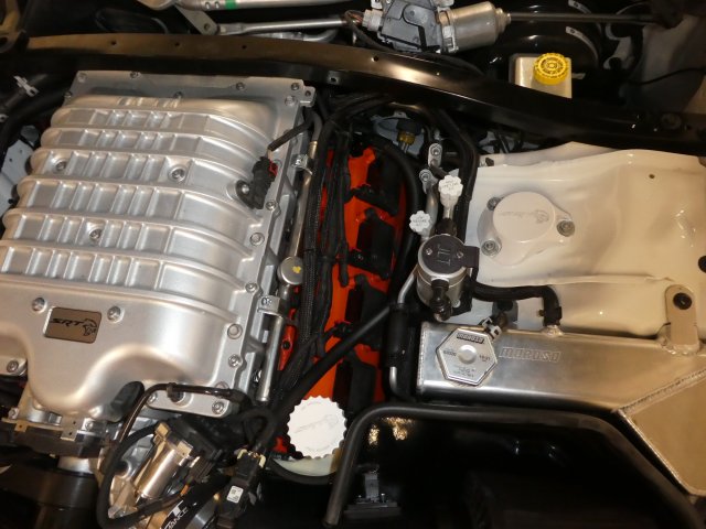 P1070311.JPG