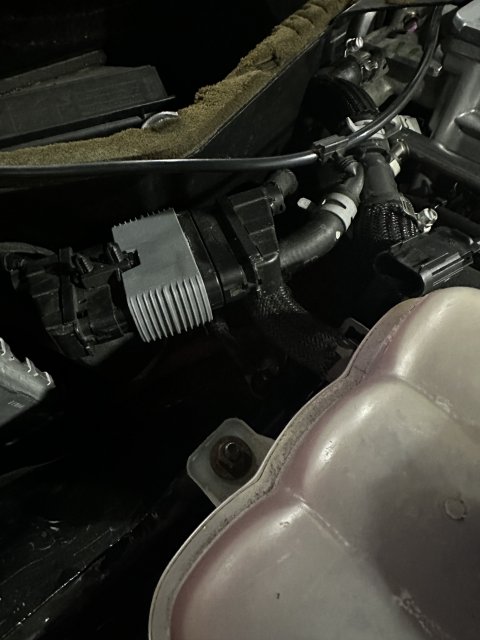 IMG_2197.jpeg
