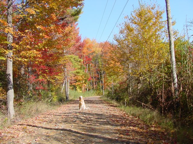 Fall04 wBonnie.jpg
