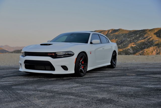 Hellcat Photo Short 3 (1).jpg