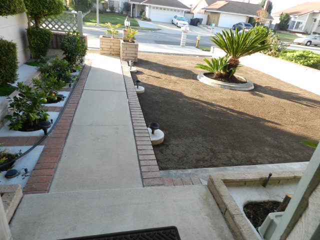 Front Yard 001.jpg