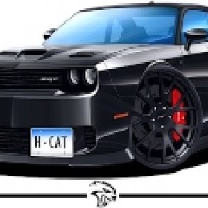 2016 Hellcat